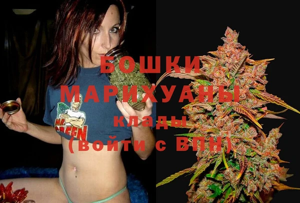 шишки Осинники