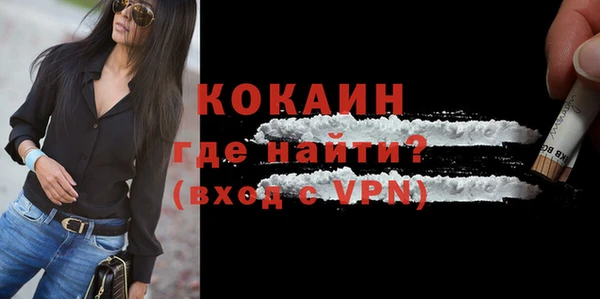 шишки Осинники