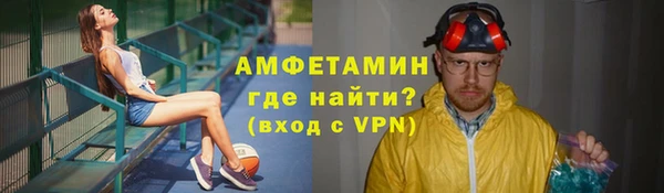 шишки Осинники