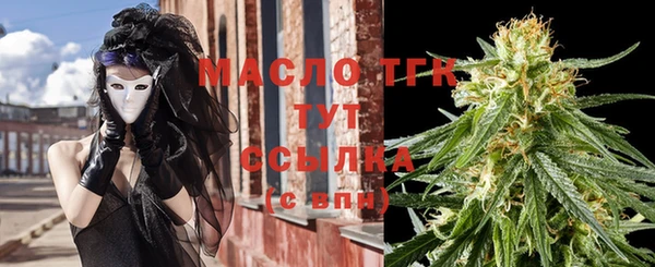 шишки Осинники