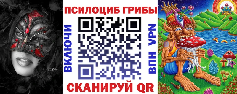 Псилоцибиновые грибы Psilocybe  продажа наркотиков  Алексин 