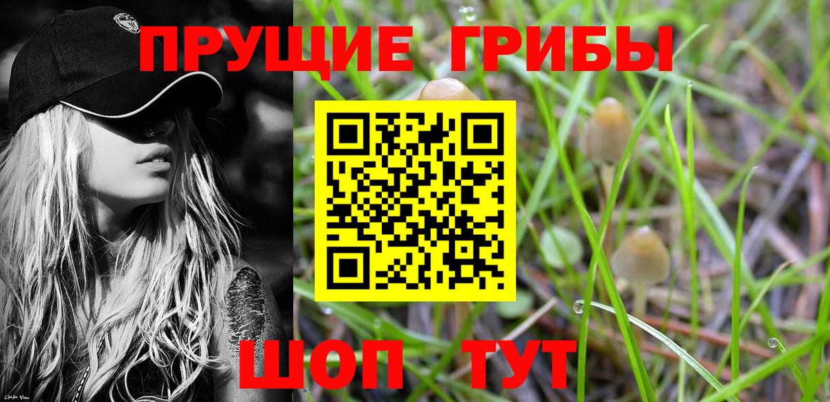 Codein Алексин